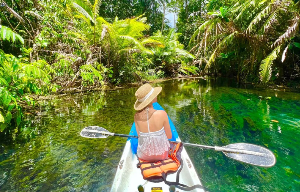 Klong Root Kayaking